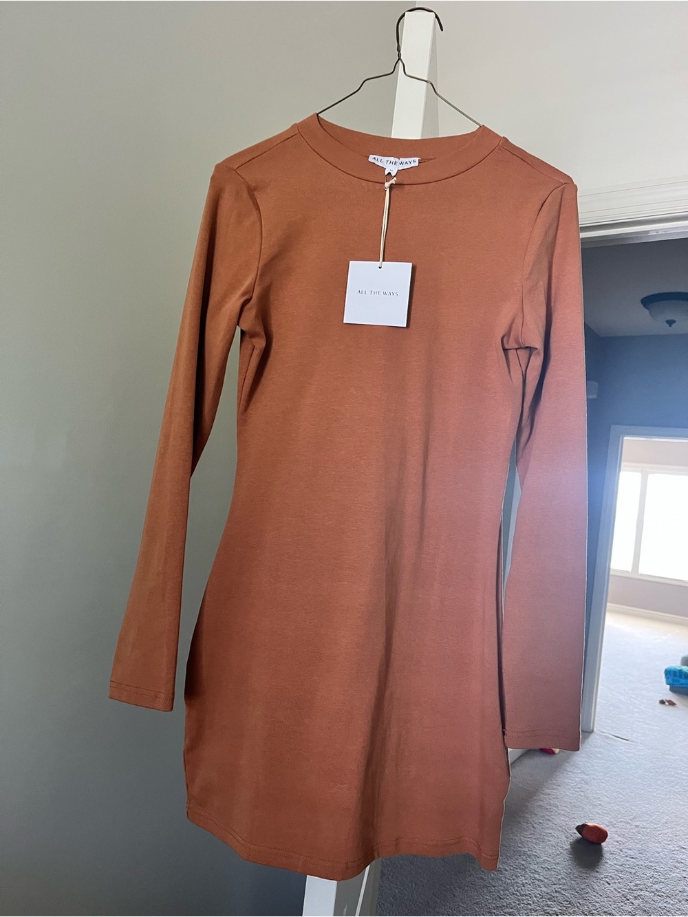 All the Ways Russet Long-Sleeve Crewneck Dress